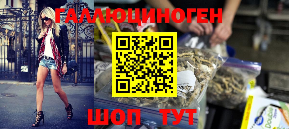 Галлюциногенные грибы мухоморы  Вход с VPN  Гай  Псилоцибиновые грибы Psilocybe 